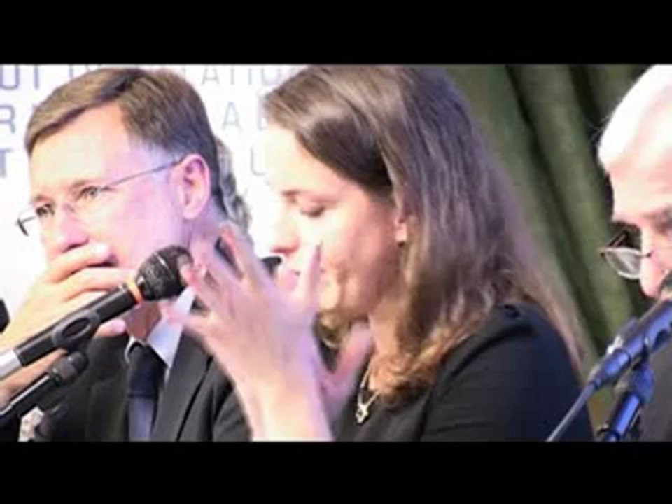 Fabienne Clérot, Quels enjeux politiques, stratégiques et économiques ?