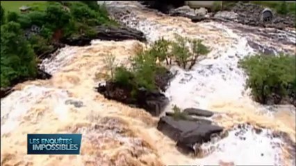 Les enquêtes impossibles - La piste des élephants-La preuve par la dentition