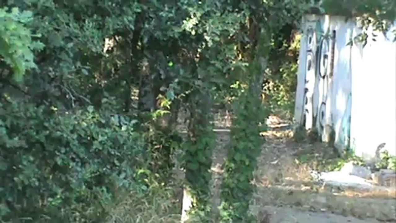 recherche utilitaire françoise aoc 66