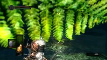 Let's Play Dark Souls [BLIND] (German) Part 35 - Kampf im Wald