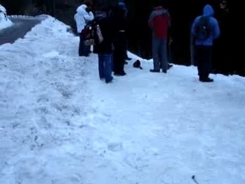 monte carlo 2006