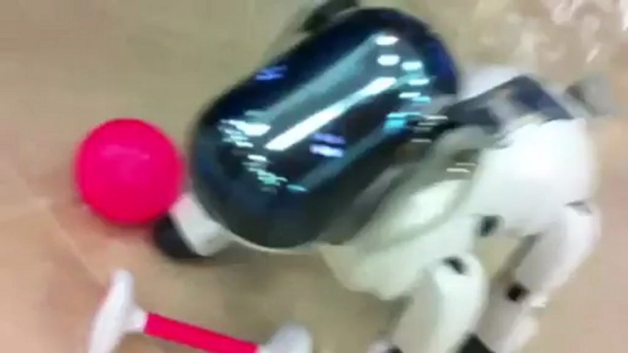 Robot dog