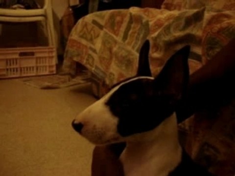 télé et brossage dents