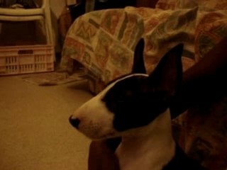 télé et brossage dents