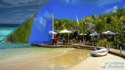 Are you interested in Caribbean tourism?