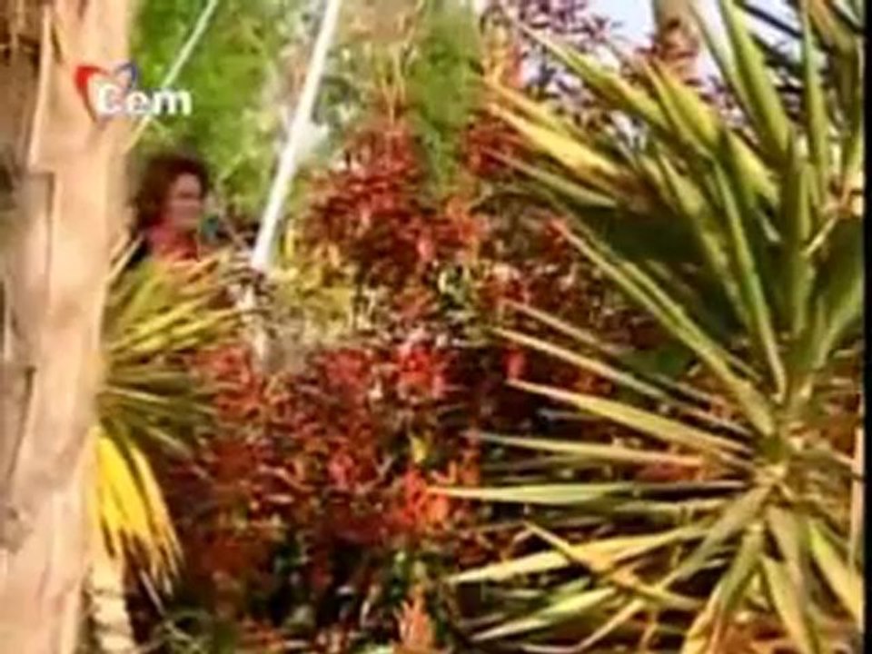 selda bağcan-döngel bi tanem