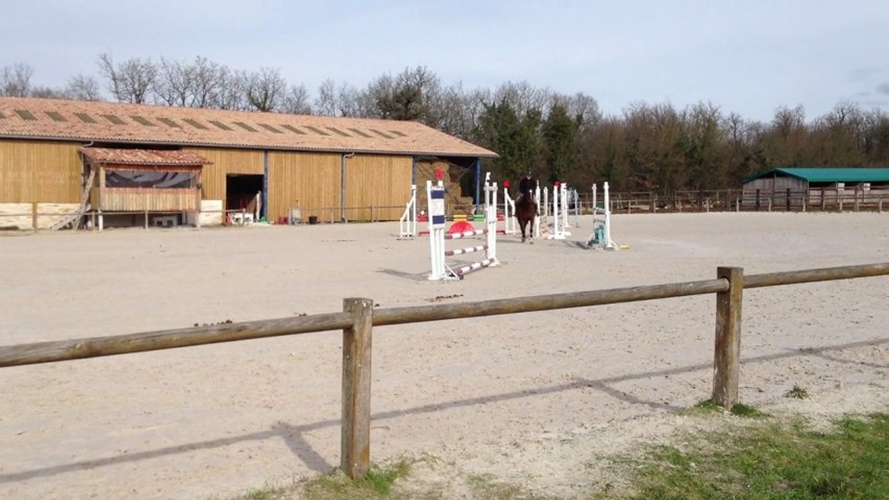 Concours d'entrainement aux écuries de Flore