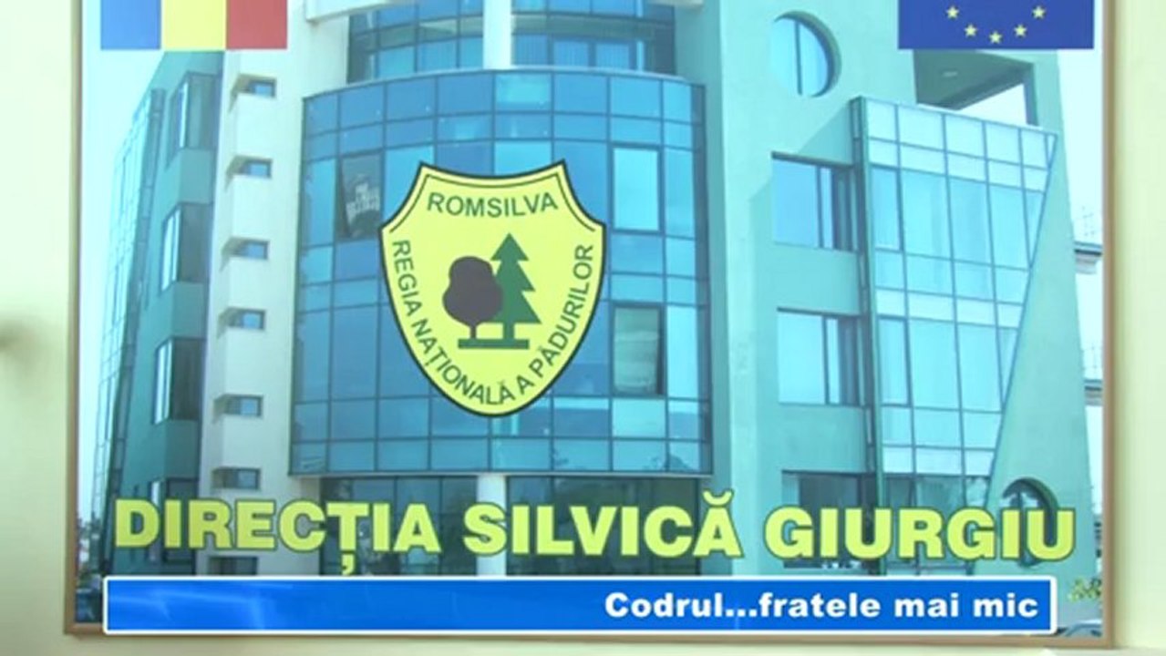 CODRUL FRATELE MAI MIC