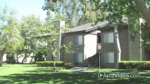 Monterey Pines Apartments in Loma Linda, CA - ForRent.com