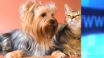 The Lido Apartments in Albuquerque, NM - ForRent.com