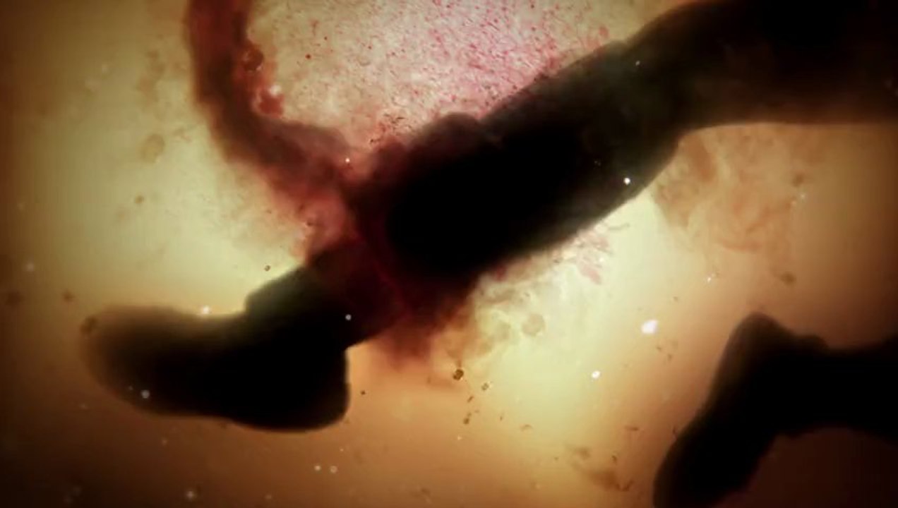 God of War Ascension - Teaser Trailer - da Sony Computer Enter