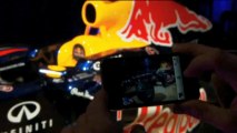 F1: Vettel und Red Bull 