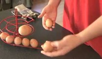 Cet œuf de poule contient un second œuf de poule
