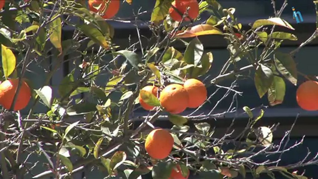 Barcelona - Hotel Eurostars Grand Marina (Quehoteles.com)