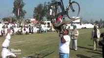 Courses de boeufs, danses de chevaux et tirs à la corde : les Jeux olympiques ruraux en Inde