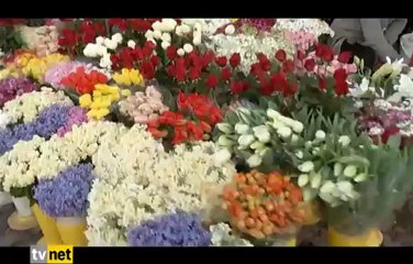 Ne Dersiniz 29.1.2013