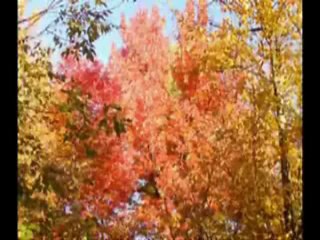 Soleil levant - YouTube