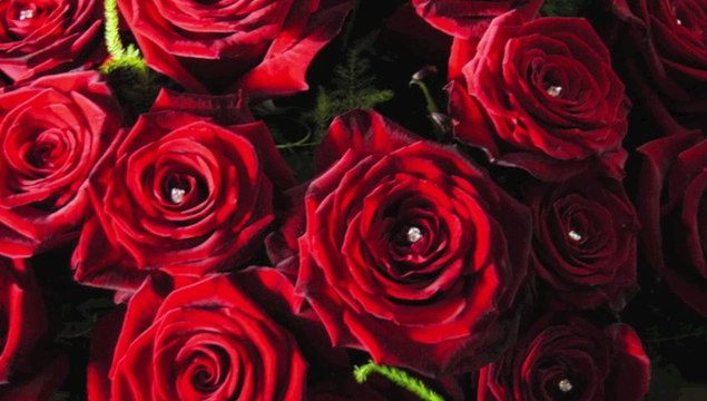 Fleuriste Avignon Exotica Fleurs Saint Valentin 2013