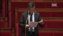 310113 Rappel au règlement Proposition de loi sur l'expertise et l'alerte
