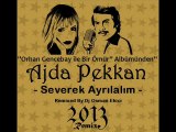 Dj OsMaN eKiCi vs Ajda Pekkan - Severek Ayrilalim (RemiX 2013)