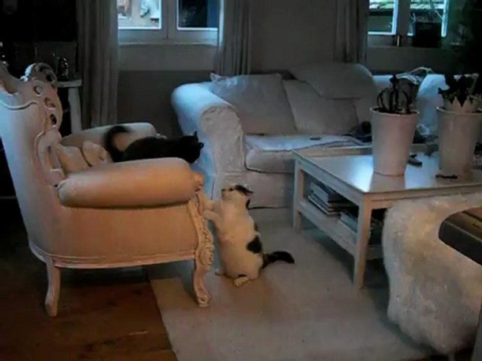 Lilou vs Grosse Louloune