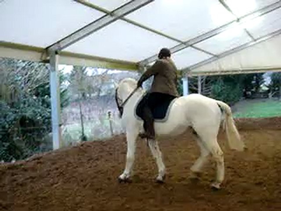 ELODIE ET ISTOUF LE 03-02-13 047