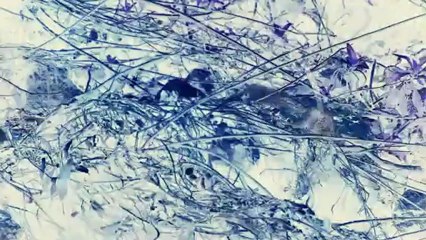 Bear Mountain - Two Step