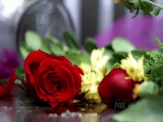 House - Promos 8x11 et 8x12