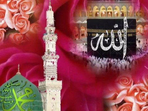 Gurup Sema Hacı Hacı