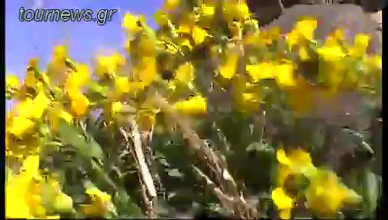 Πεζοπορία Φηροστεφάνη - Σκάρος - Θεοσκέπαστη.