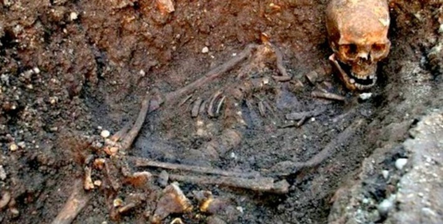 Remains of Richard III Confirmed by DNA Test