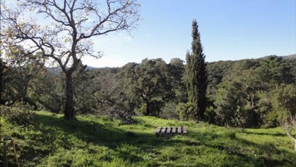 Villa à vendre Cogolin avec vue sur le château de Grimaud