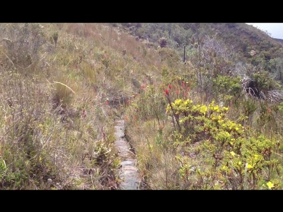 BOYACÁ: Al  Páramo No lo Matan.