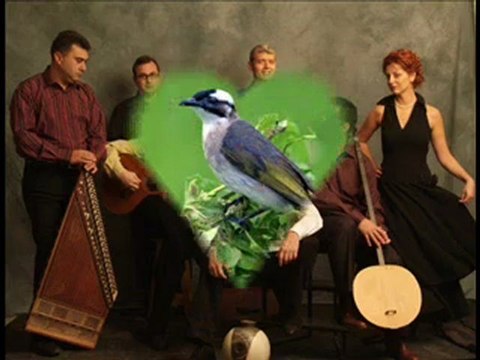 Incesaz - Gul Dalinda Oten Bulbulun Olsam