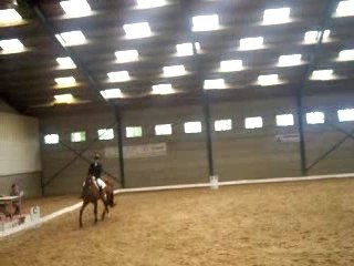 Etrier dor dressage