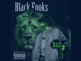 BLACK FOOKS (extrait album 2013 racourci interstélaire) Indomptable Records 2013