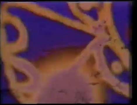 THELMA HOUSTON - Don't Leave Me This Way (Dance Mix) (GW)