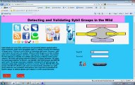 Detecting And Validating Sybil Groups In The Wild-Video