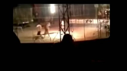 Kaplan Bakıcısını Parçaladı