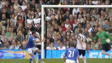 46. Cahill v Fulham