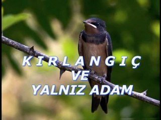 Kırlangıç ve yalnız adam