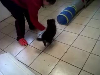 Hooper (A et tunnel)