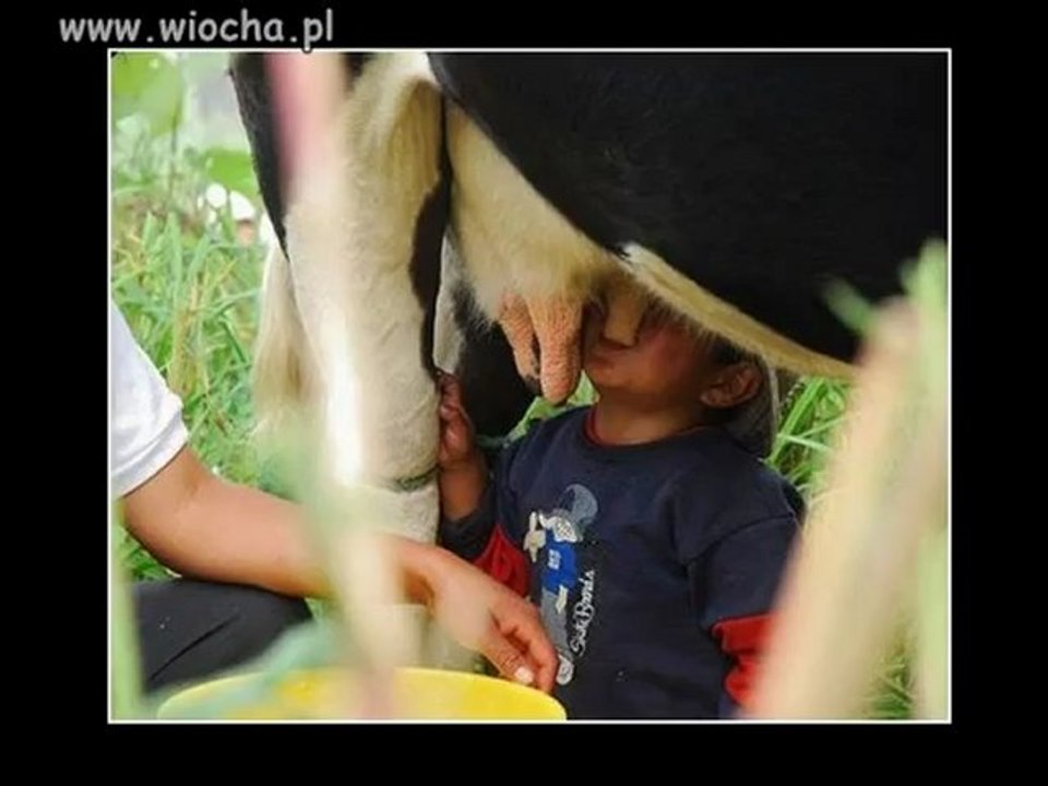 Zdjęcia - Wiocha.pl # (1)