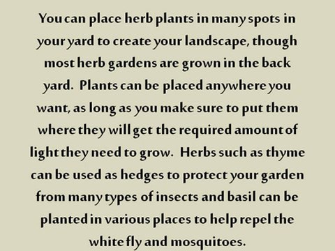 Landscape Your Yard with Herbs