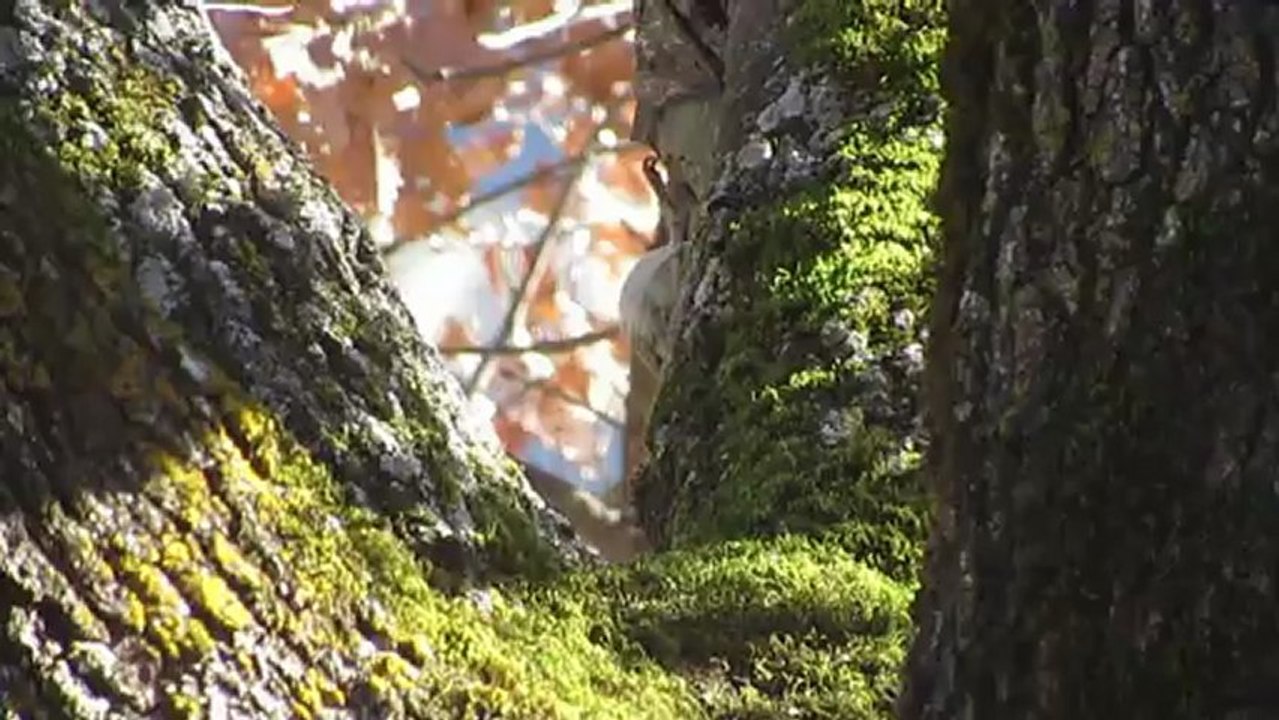 Pic vert 3 02 2103