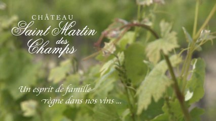 Le Château Saint Martin des Champs