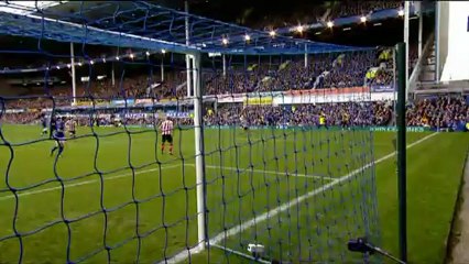 66. Cahill v Sunderland