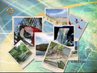 Naturaleza al día: Los llaneros y las anacondas del estado Apure