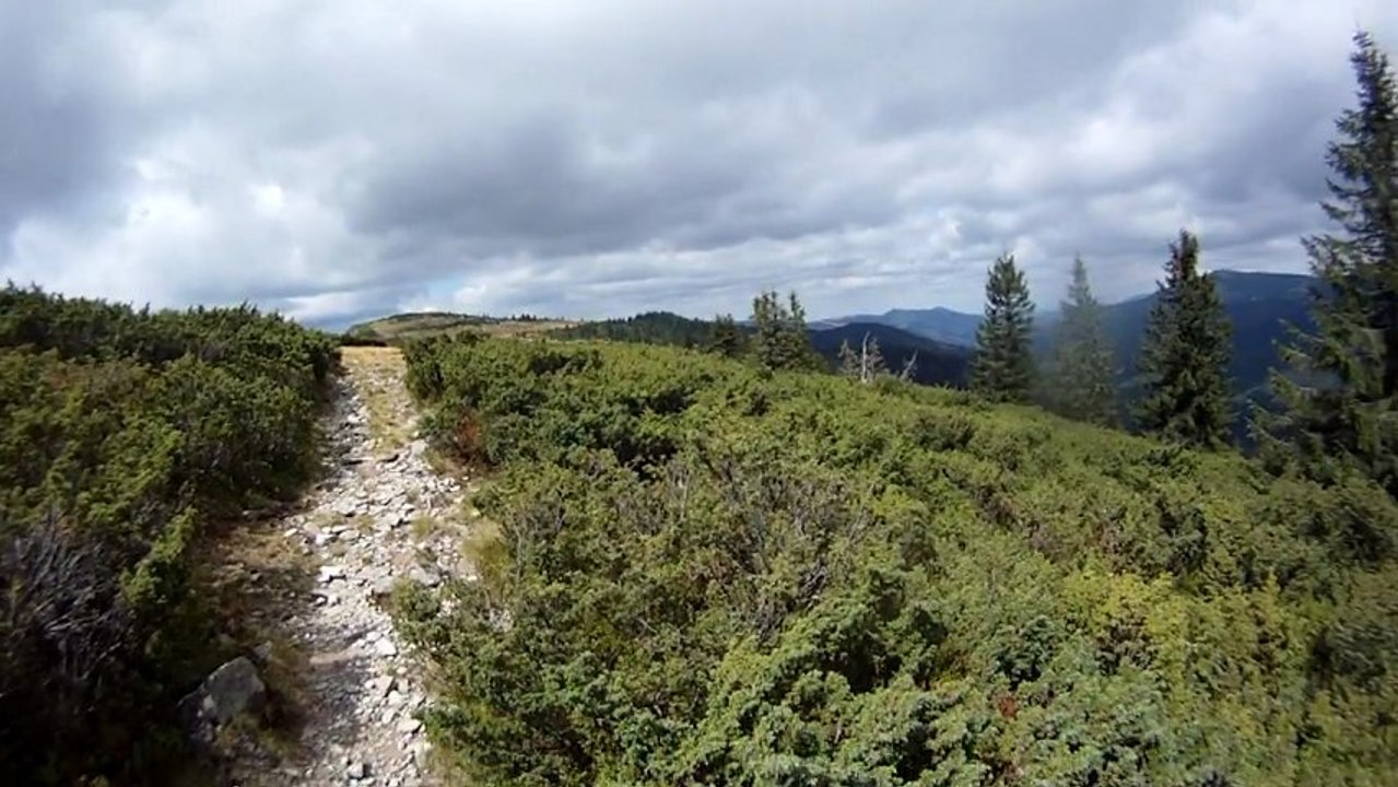 Aventuri pe bicicleta - Expeditie in Muntii Apuseni - Traseul: Stana de Vale - Camping Glavoi(Padis)