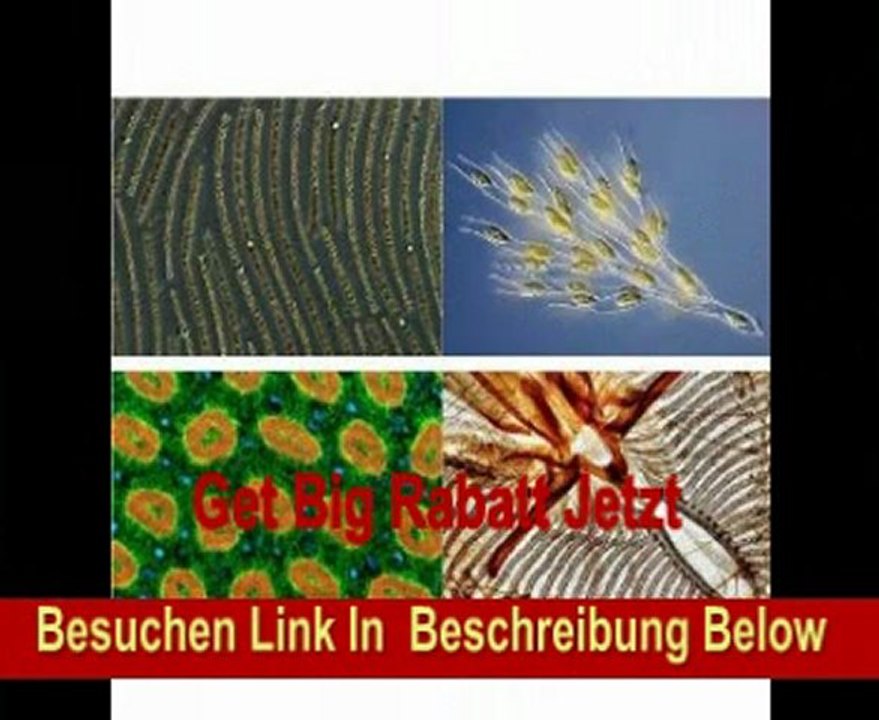 14,0 MegaPixel CMOS Mikroskop und Teleskop Kamera / Eignet sich für alle Mikroskope und Teleskope ab einer Okularaufnahme von 23,2mm